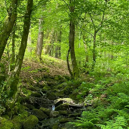 Les Du Donat Bed & Breakfast Sainte-Cécile