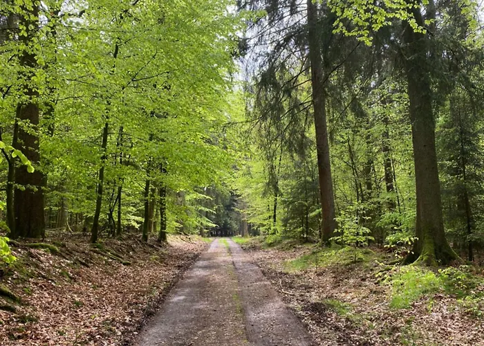 Les Du Donat Alojamento de Acomodação e Pequeno-almoço 4*